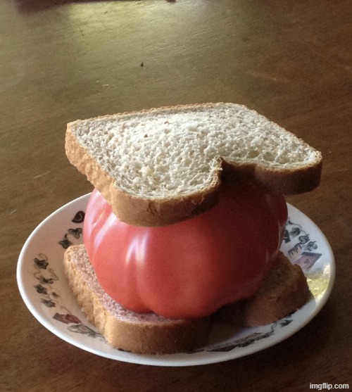 Tomato Sandwich | image tagged in tomato sandwich | made w/ Imgflip meme maker