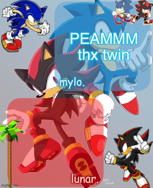 in a better mood now. | PEAMMM thx twin | image tagged in shared sonic and shadow temp | made w/ Imgflip meme maker
