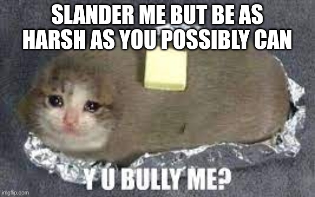 Y U BULLY me crying cat burrito | SLANDER ME BUT BE AS HARSH AS YOU POSSIBLY CAN | image tagged in y u bully me crying cat burrito | made w/ Imgflip meme maker