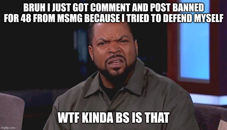 Really? Ice Cube | BRUH I JUST GOT COMMENT AND POST BANNED FOR 48 FROM MSMG BECAUSE I TRIED TO DEFEND MYSELF; WTF KINDA BS IS THAT | image tagged in really ice cube | made w/ Imgflip meme maker