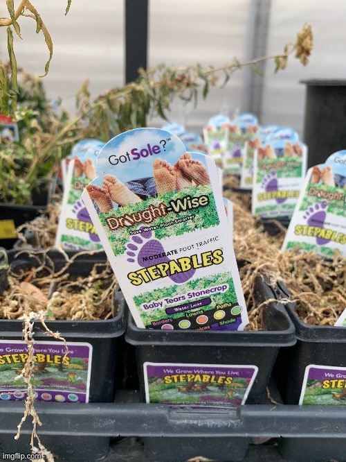 Hate everything | made w/ Imgflip meme maker