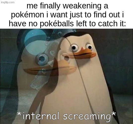 darn | me finally weakening a pokémon i want just to find out i have no pokéballs left to catch it: | image tagged in private internal screaming,memes,pokemon | made w/ Imgflip meme maker