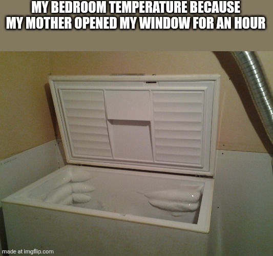 freezer | MY BEDROOM TEMPERATURE BECAUSE MY MOTHER OPENED MY WINDOW FOR AN HOUR | image tagged in freezer | made w/ Imgflip meme maker