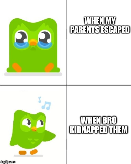 is it accurate or is it accurate | WHEN MY PARENTS ESCAPED; WHEN BRO KIDNAPPED THEM | image tagged in duolingo drake meme | made w/ Imgflip meme maker