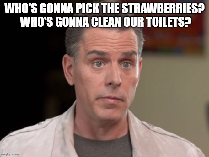 WHO'S GONNA PICK THE STRAWBERRIES?  WHO'S GONNA CLEAN OUR TOILETS? | image tagged in gas as high as hunter biden | made w/ Imgflip meme maker