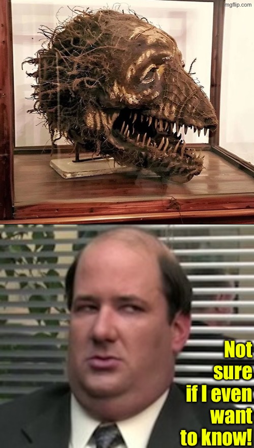 Not sure if I would want to know wtf this skull is | Not sure if I even want to know! | image tagged in cursed images,excuse me wtf,what a terrible day to have eyes,not sure if,oh hell no,skull | made w/ Imgflip meme maker