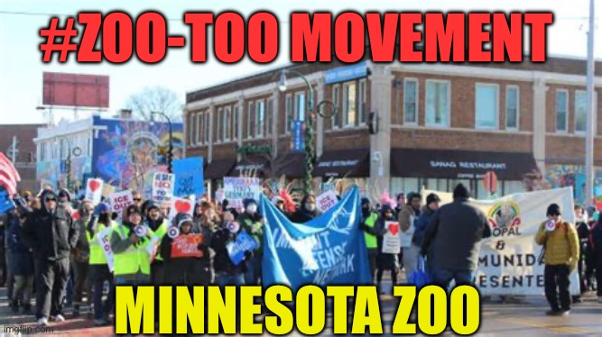 Zoo-Too on the loose | #ZOO-TOO MOVEMENT; MINNESOTA ZOO | image tagged in gifs,zoo,democratic socialism,angry liberal,illegal immigrants | made w/ Imgflip meme maker