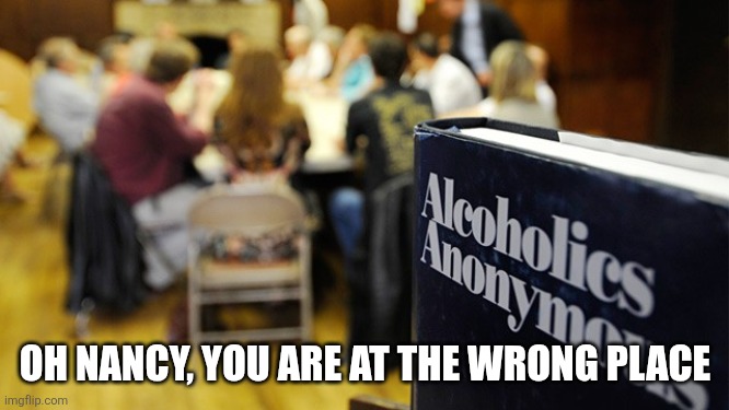 alcoholics anonymous | OH NANCY, YOU ARE AT THE WRONG PLACE | image tagged in alcoholics anonymous | made w/ Imgflip meme maker