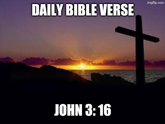 CROSS | DAILY BIBLE VERSE; JOHN 3: 16 | image tagged in cross | made w/ Imgflip meme maker