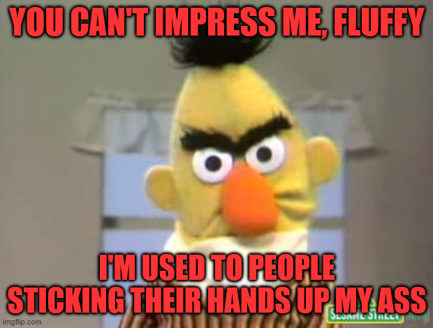 Sesame Street - Angry Bert | YOU CAN'T IMPRESS ME, FLUFFY I'M USED TO PEOPLE STICKING THEIR HANDS UP MY ASS | image tagged in sesame street - angry bert | made w/ Imgflip meme maker