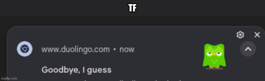 I am scared now | TF | image tagged in duolingo | made w/ Imgflip meme maker