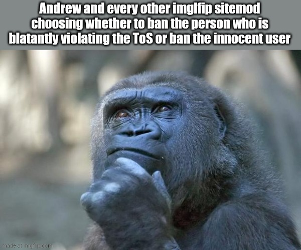 that is the question | Andrew and every other imglfip sitemod choosing whether to ban the person who is blatantly violating the ToS or ban the innocent user | image tagged in that is the question | made w/ Imgflip meme maker