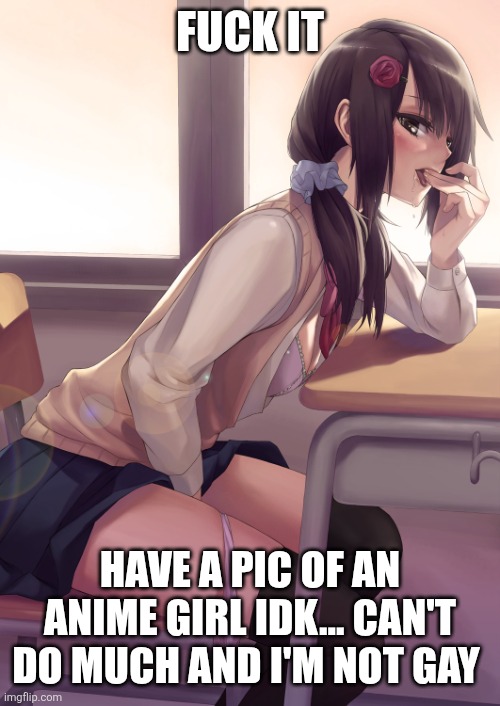Hentai anime girl | FUCK IT HAVE A PIC OF AN ANIME GIRL IDK... CAN'T DO MUCH AND I'M NOT GAY | image tagged in hentai anime girl | made w/ Imgflip meme maker