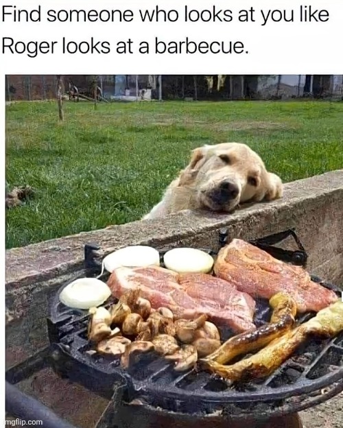image tagged in dogs,love,looking,barbecue,food,meat | made w/ Imgflip meme maker