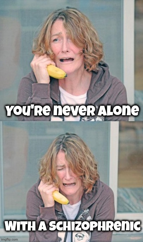 Mental patient | You're never alone With A Schizophrenic | image tagged in mental patient | made w/ Imgflip meme maker