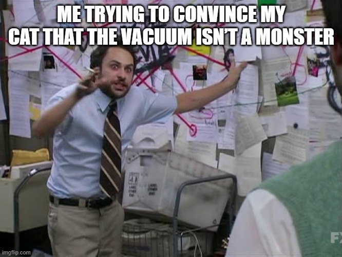 Cat Convincing | ME TRYING TO CONVINCE MY CAT THAT THE VACUUM ISN’T A MONSTER | image tagged in charlie conspiracy always sunny in philidelphia | made w/ Imgflip meme maker