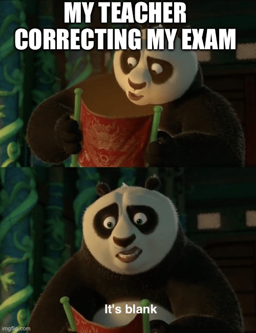 They should be thanking me for making thier job easier | MY TEACHER CORRECTING MY EXAM | image tagged in kung fu panda blank | made w/ Imgflip meme maker