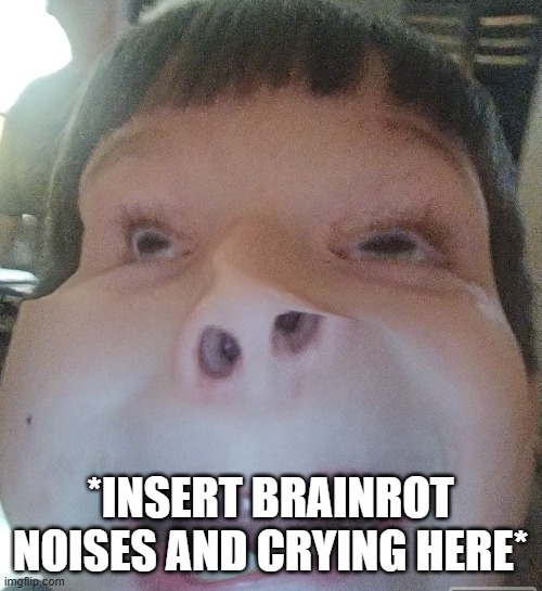 warped ugly kid | *INSERT BRAINROT NOISES AND CRYING HERE* | image tagged in warped ugly kid | made w/ Imgflip meme maker