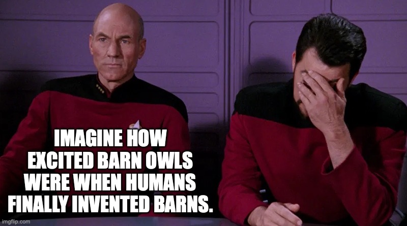 Picard on Barn Owls | IMAGINE HOW EXCITED BARN OWLS WERE WHEN HUMANS FINALLY INVENTED BARNS. | image tagged in picard,riker,barn owls | made w/ Imgflip meme maker