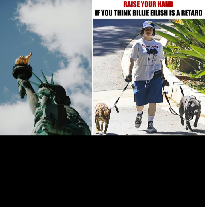 Funny Blank Meme Template