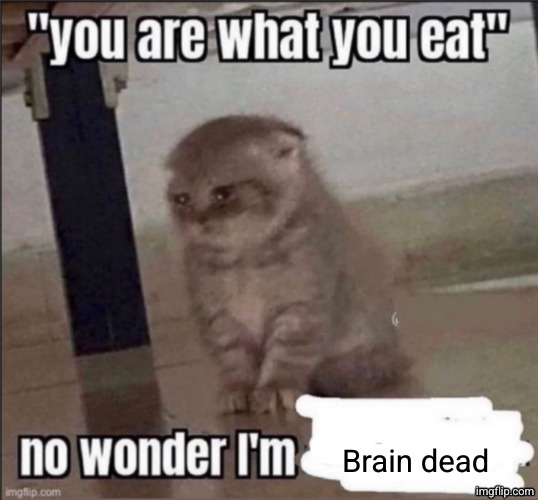 you are what you eat | Brain dead | image tagged in you are what you eat | made w/ Imgflip meme maker