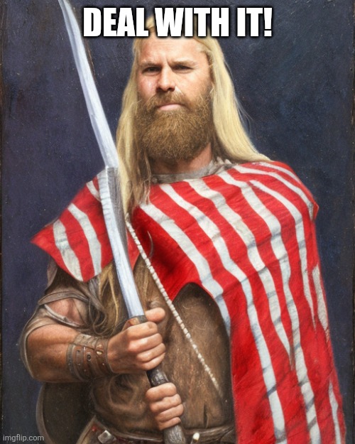 DEAL WITH IT! | image tagged in the new standard dammit | made w/ Imgflip meme maker