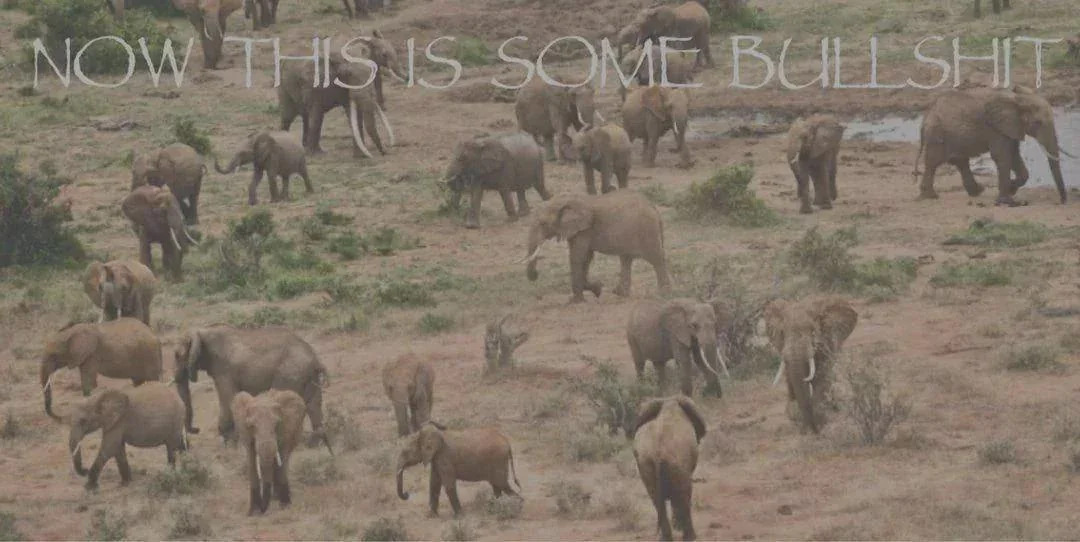 now this is some bs Blank Meme Template