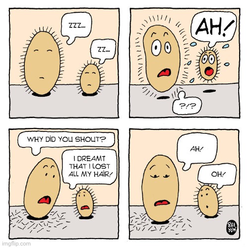 BALD | image tagged in hair,bald,baldness,comics,potatoes,comics/cartoons | made w/ Imgflip meme maker