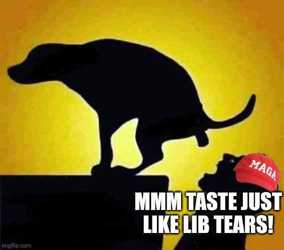 MMM TASTE JUST LIKE LIB TEARS! | image tagged in dog shit in mouth | made w/ Imgflip meme maker