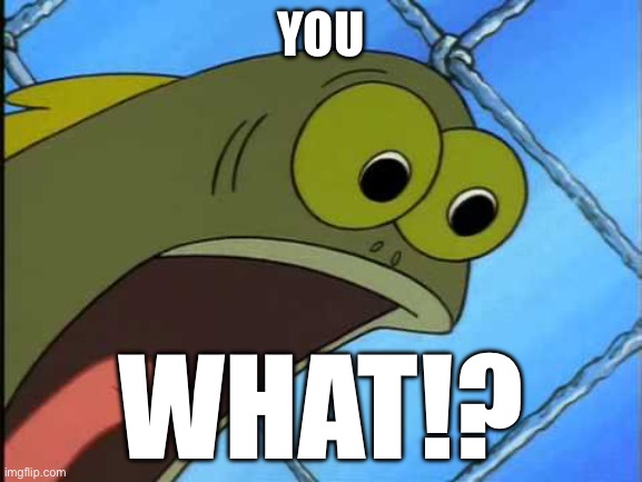 You what?! | YOU WHAT!? | image tagged in you what | made w/ Imgflip meme maker