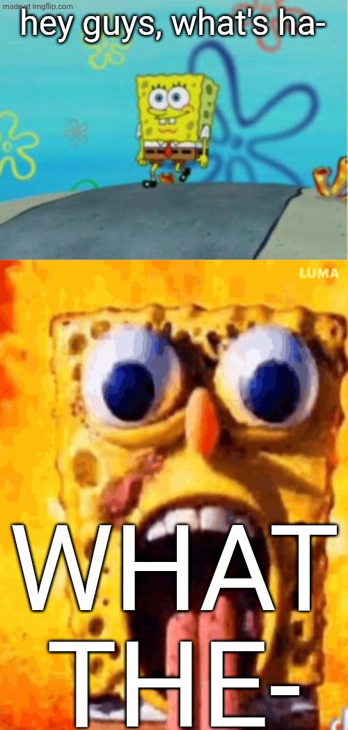 Hey guys, I'm back! | hey guys, what's ha-; WHAT THE- | made w/ Imgflip meme maker