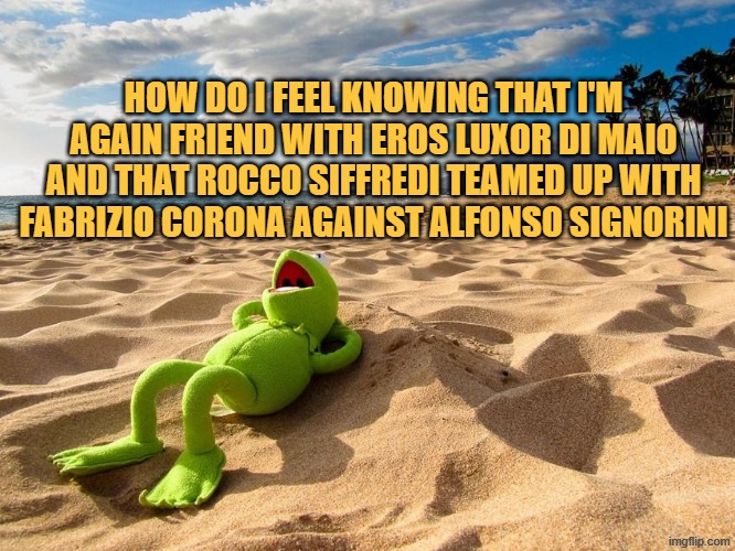 finally relax.. | HOW DO I FEEL KNOWING THAT I'M AGAIN FRIEND WITH EROS LUXOR DI MAIO AND THAT ROCCO SIFFREDI TEAMED UP WITH FABRIZIO CORONA AGAINST ALFONSO SIGNORINI | image tagged in kermit beach | made w/ Imgflip meme maker