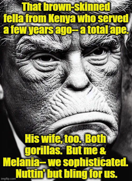 tRump and Ape video | That brown-skinned fella from Kenya who served a few years ago-- a total ape. His wife, too.  Both gorillas.  But me & Melania-- we sophisticated.  Nuttin' but bling for us. | image tagged in donald trump is an idiot,funny trump meme,that's racist,bigotry,maga,donald trump approves | made w/ Imgflip meme maker
