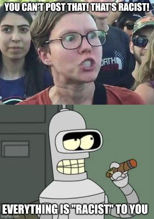 YOU CAN'T POST THAT! THAT'S RACIST! EVERYTHING IS "RACIST" TO YOU | image tagged in triggered liberal,bender | made w/ Imgflip meme maker