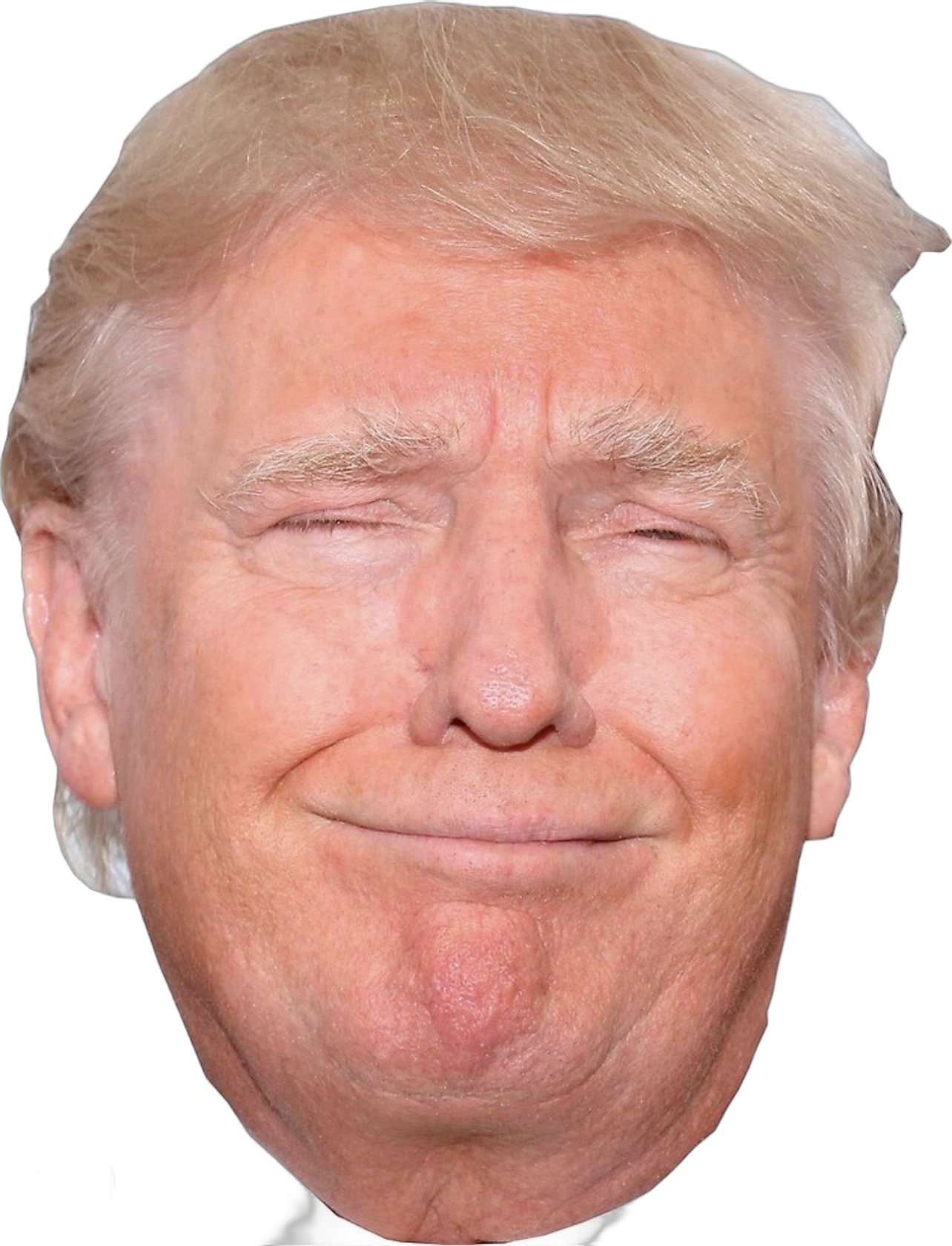 Dumb trump Blank Meme Template