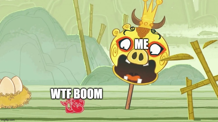There should be a phobia for that meme. | ME; WTF BOOM | image tagged in dragonphobia,misophonia,doomed,angry birds | made w/ Imgflip meme maker