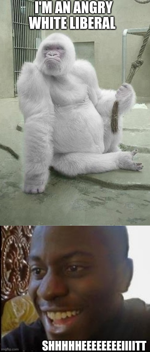 I'M AN ANGRY WHITE LIBERAL; SHHHHHEEEEEEEEIIIITT | image tagged in disappointed black guy | made w/ Imgflip meme maker