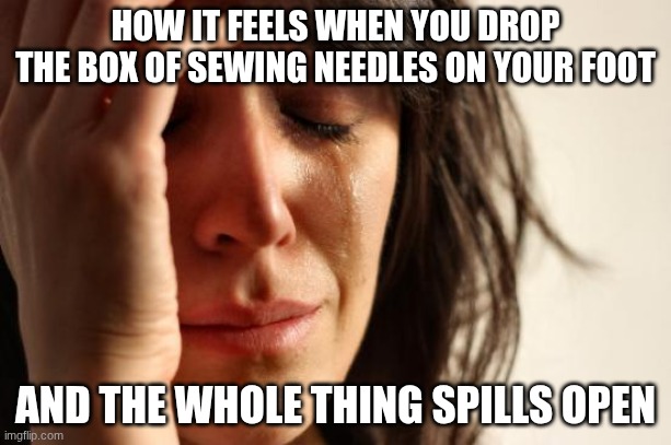 It took 20 minutes to find all of them | HOW IT FEELS WHEN YOU DROP THE BOX OF SEWING NEEDLES ON YOUR FOOT; AND THE WHOLE THING SPILLS OPEN | image tagged in memes,first world problems,sewing,art | made w/ Imgflip meme maker