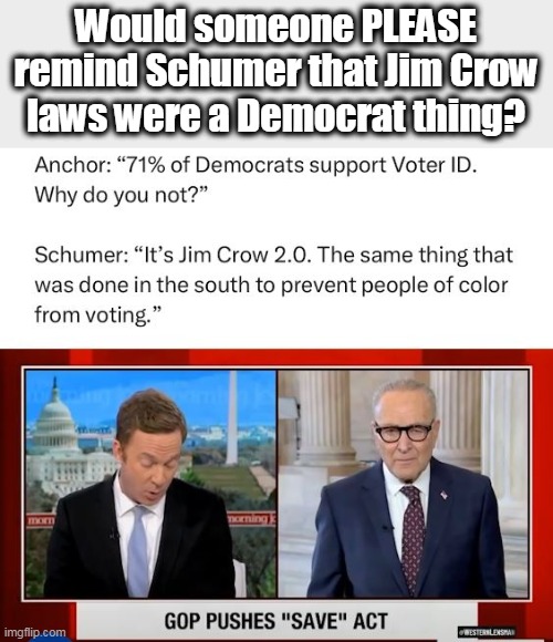 Racists think poc are too stoopid to get an ID for themselves. | Would someone PLEASE remind Schumer that Jim Crow laws were a Democrat thing? | image tagged in democrats,racists,that's racist,chuck schumer,disgusting | made w/ Imgflip meme maker