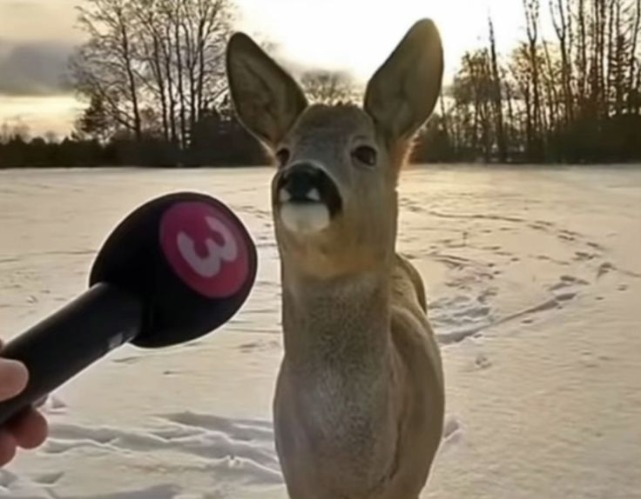 ptsd image | made w/ Imgflip meme maker