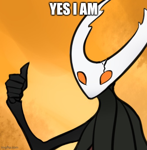 Hollow Knight Thumbs Up | YES I AM | image tagged in hollow knight thumbs up | made w/ Imgflip meme maker