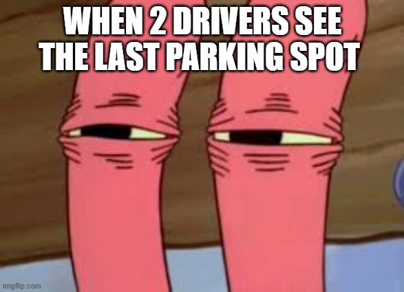 When 2 Drivers See The Last Parking Spot | WHEN 2 DRIVERS SEE THE LAST PARKING SPOT | image tagged in mr krabs smelly smell,driving,relatable | made w/ Imgflip meme maker