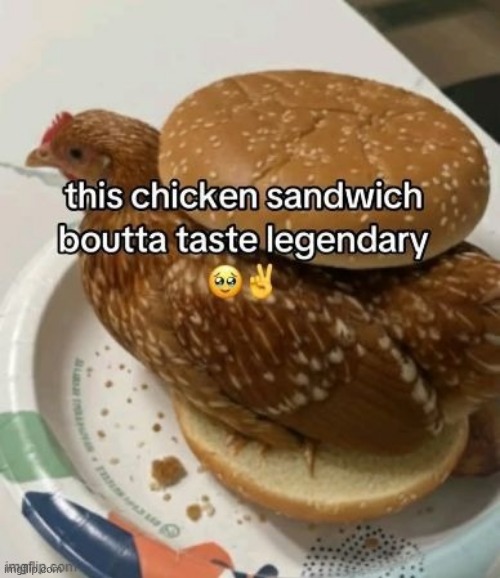 XXX-tra raw ahh chicken sandwich | image tagged in chicken sandwich,memes,repost,reposts,chicken,sandwich | made w/ Imgflip meme maker