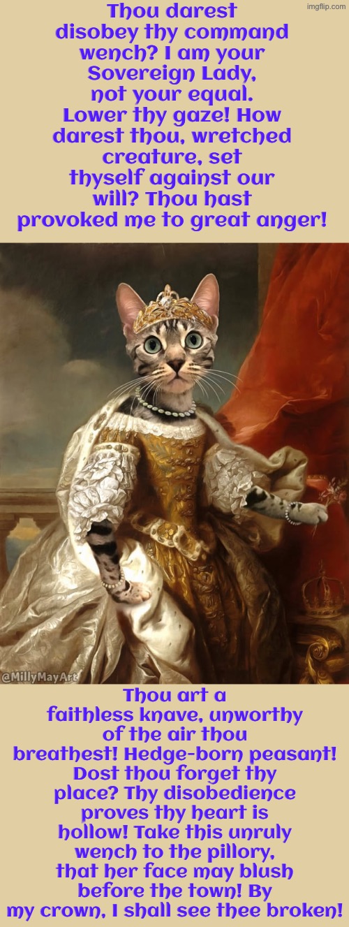 I Am Your Sovereign Lady Not Your Equal | Thou darest disobey thy command wench? I am your Sovereign Lady, not your equal. Lower thy gaze! How darest thou, wretched creature, set thyself against our will? Thou hast provoked me to great anger! Thou art a faithless knave, unworthy of the air thou breathest! Hedge-born peasant! Dost thou forget thy place? Thy disobedience proves thy heart is hollow! Take this unruly wench to the pillory, that her face may blush before the town! By my crown, I shall see thee broken! | image tagged in cats,medieval memes,funny cats,the queen,you have sinned child prepare to feel the sweet embrace of death,insults | made w/ Imgflip meme maker