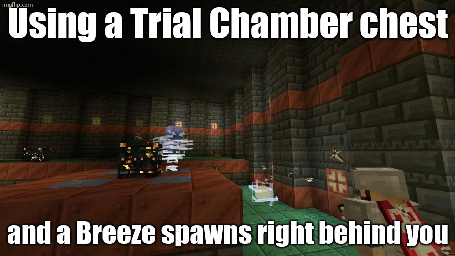 Breeze In Trial Chamber | Using a Trial Chamber chest; and a Breeze spawns right behind you | image tagged in breeze in trial chamber | made w/ Imgflip meme maker