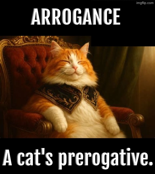 Arrogance | ARROGANCE; A cat's prerogative. | image tagged in cats,funny cats,arrogance,prerogative,demotivationals,smug | made w/ Imgflip meme maker