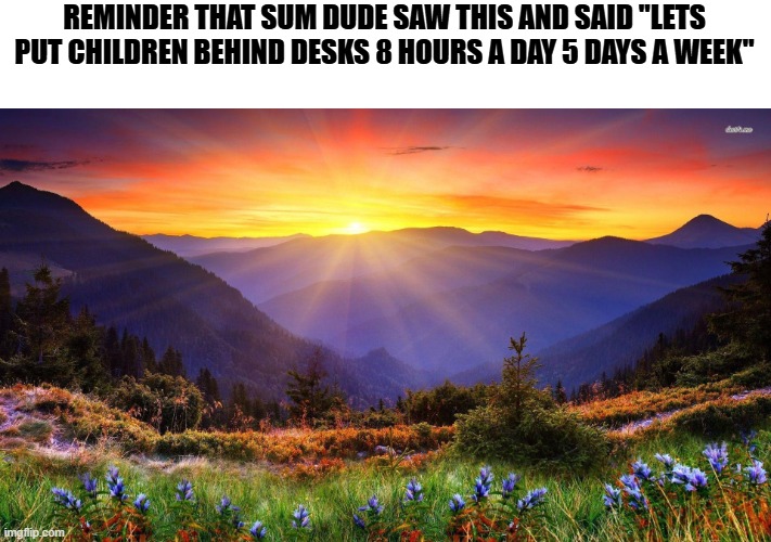 life | REMINDER THAT SUM DUDE SAW THIS AND SAID "LETS PUT CHILDREN BEHIND DESKS 8 HOURS A DAY 5 DAYS A WEEK" | image tagged in memes,better than child labor i guess | made w/ Imgflip meme maker