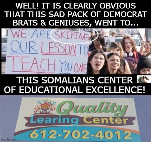 politics | WELL! IT IS CLEARLY OBVIOUS THAT THIS SAD PACK OF DEMOCRAT BRATS & GENIUSES, WENT TO... | image tagged in political meme | made w/ Imgflip meme maker