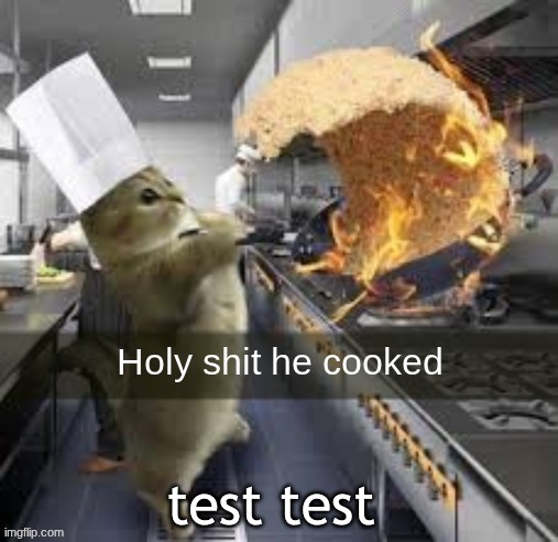 Holy shit he cooked | test test | image tagged in holy shit he cooked | made w/ Imgflip meme maker