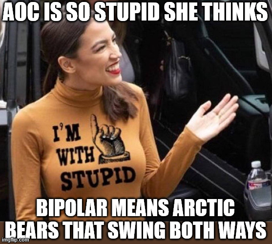 AOC DOES IT AGAIN! | AOC IS SO STUPID SHE THINKS; BIPOLAR MEANS ARCTIC BEARS THAT SWING BOTH WAYS | image tagged in aoc,liberal,memes,democrat,libtard,bipolar | made w/ Imgflip meme maker